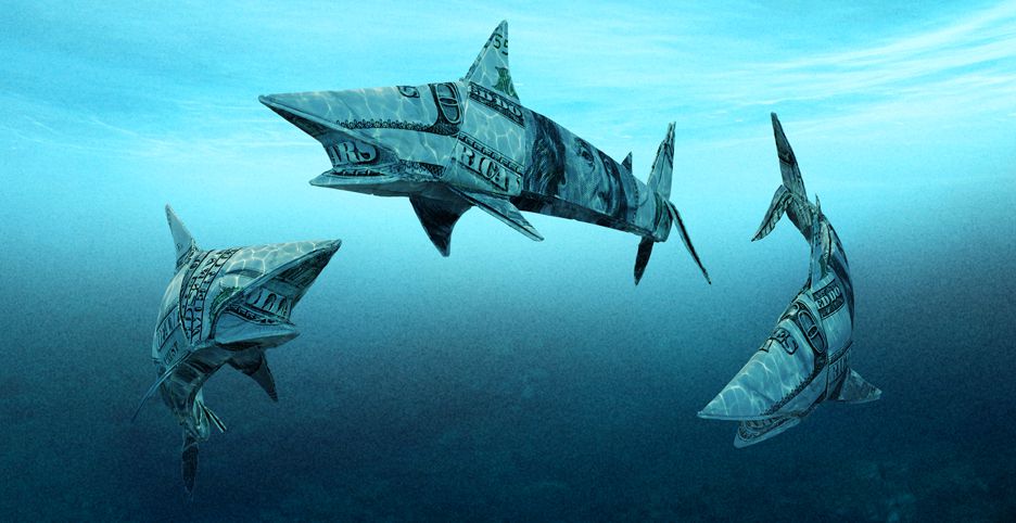 Lessons from Shark Tank