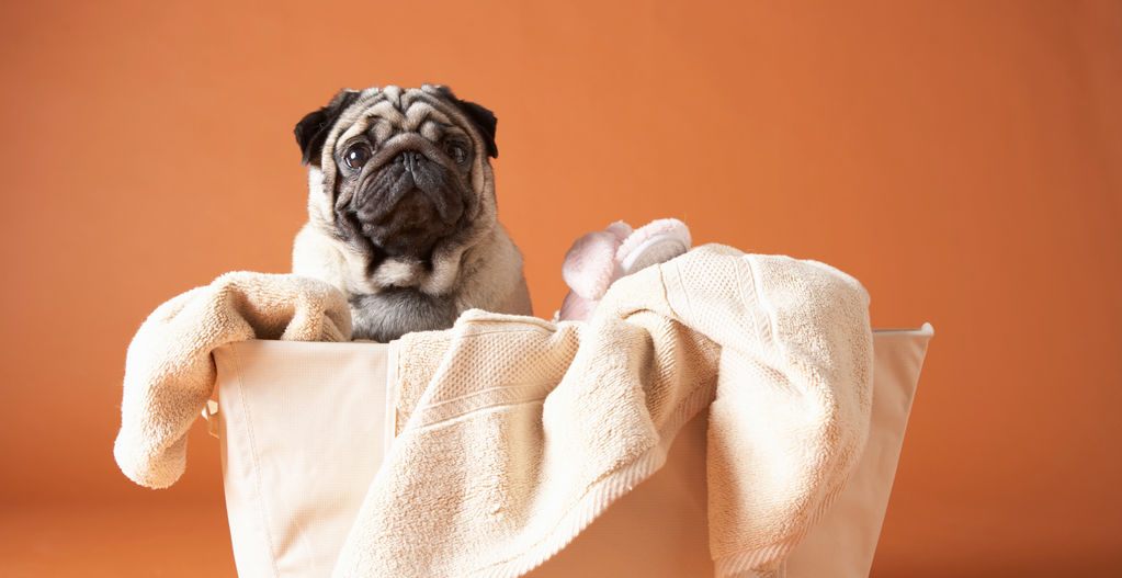 How to fold your Fitted Sheet Hey Duvet™